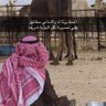 سعود الجميلي 🇵🇸 的头像