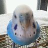 䜳å's profile picture