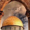 Фото профиля المطيري
