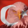 CinoReports🦅's profile picture
