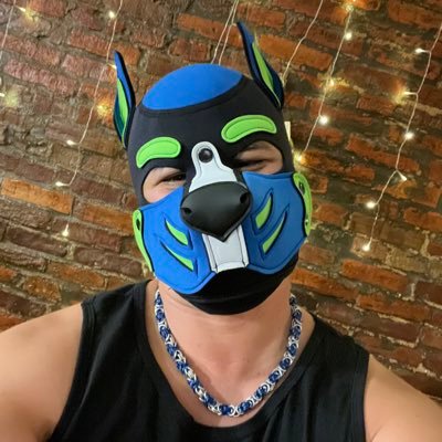 Kaos_ThePup's profile picture