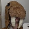 Tuskii's profile picture