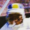 dolphinslaxer's profile picture