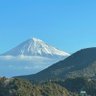 スキンヘッド ジョー! profil fotoğrafı