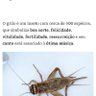 kassiano profil fotoğrafı