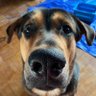 Blu's profile picture
