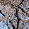Фото профиля 取引