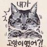 고양이언니🐈🧶 profil fotoğrafı
