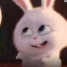 Muji's profile picture