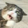 HeyGGG's profile picture