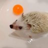 Фото профиля さくらんぼ