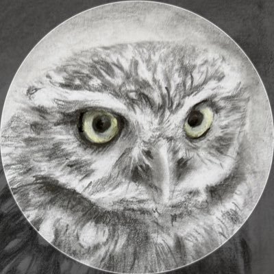 ケルベロス-𝐜𝐞𝐫𝐛𝐞𝐫𝐮𝐬-'s profile picture