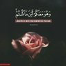 Hanoo mansoor 的头像