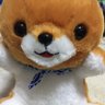 セルビッチ 的头像