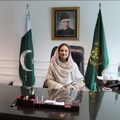 ZebJaffarPk's profile picture