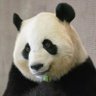 Profilbild von chica