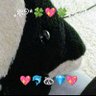 のり 的头像