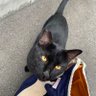 斎藤 profil fotoğrafı
