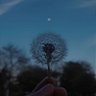 mr_morning_star 的头像