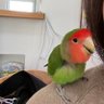 まみ's profile picture