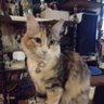 Free Spirit's profile picture