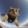 leo profil fotoğrafı