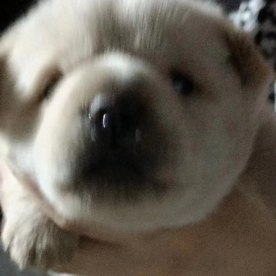 26岁寂寞离异少妇's profile picture