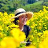 Asako 的头像