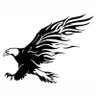 Фото профиля AIGLE NOIR