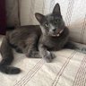 Фото профиля Bibi