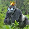 Vega Raja's profile picture