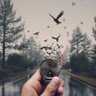 oyindoubra royal profil fotoğrafı