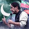 Sikander Ali Chauhan Rajput's profile picture
