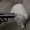 Ark Ecerar's profile picture