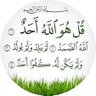 محمد الغفيلي's profile picture