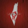 مصرى عاشق لفلسطين والاقصى 的头像