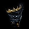 Jeffrey_photography's profile picture