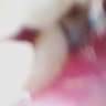 Profilbild von Lewis Griffin