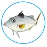 ギマ仙人's profile picture