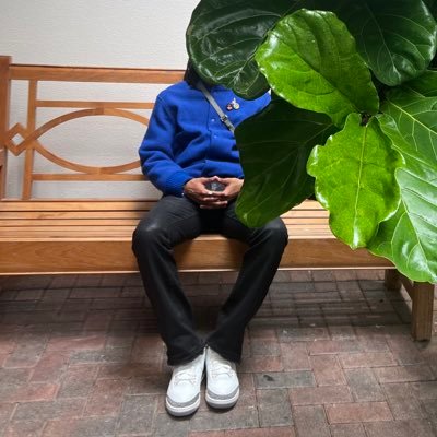 ∆-S.L.I.M.'s profile picture