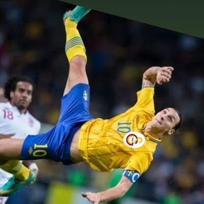 Alkolik Bilbao's profile picture