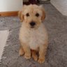 Profilbild von Mary