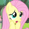 Profilbild von Fluttershy 𓅔
