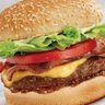 Teen Burger profil fotoğrafı