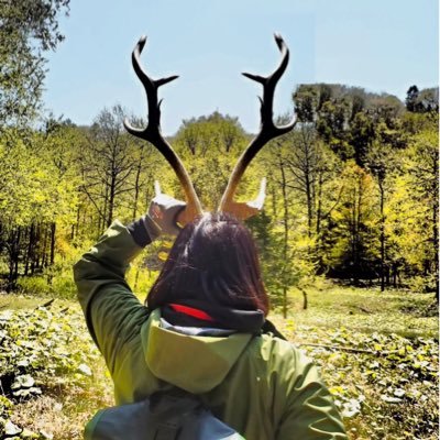 shimemametan's profile picture