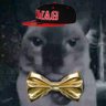 HvK's profile picture