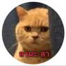 TK profil fotoğrafı