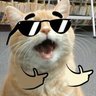 chaw profil fotoğrafı