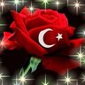 Фото профиля Ayşe Peközer Solakoğlu