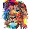 Eduardo Leon's profile picture